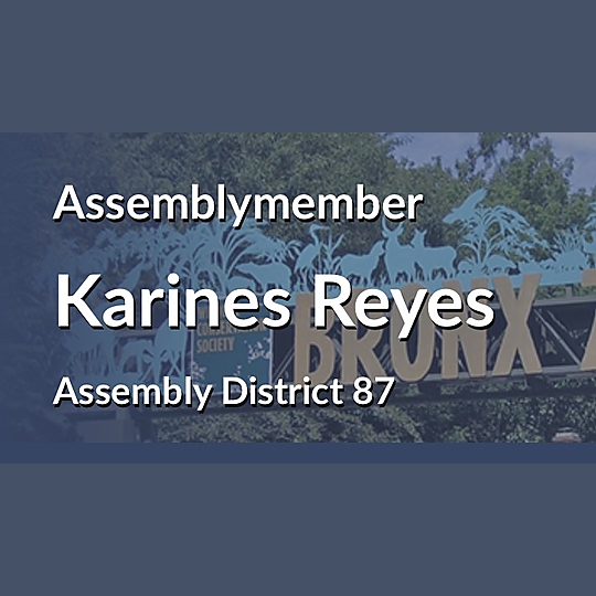 Assemblymember Karines Reyes, AD-87