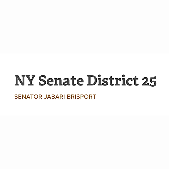 Senator Jabari Brisport, SD-25