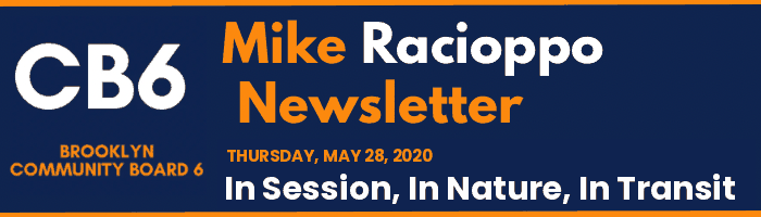 CB6 — Mike Racioppo Newsletter — In Session, In Nature, In Transit, May 28, 2020
