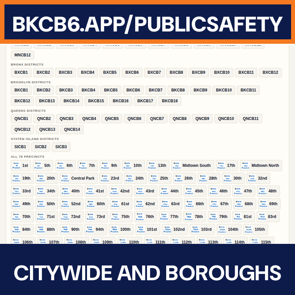 Citywide and boroughs