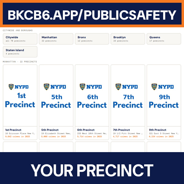 NYPD precincts